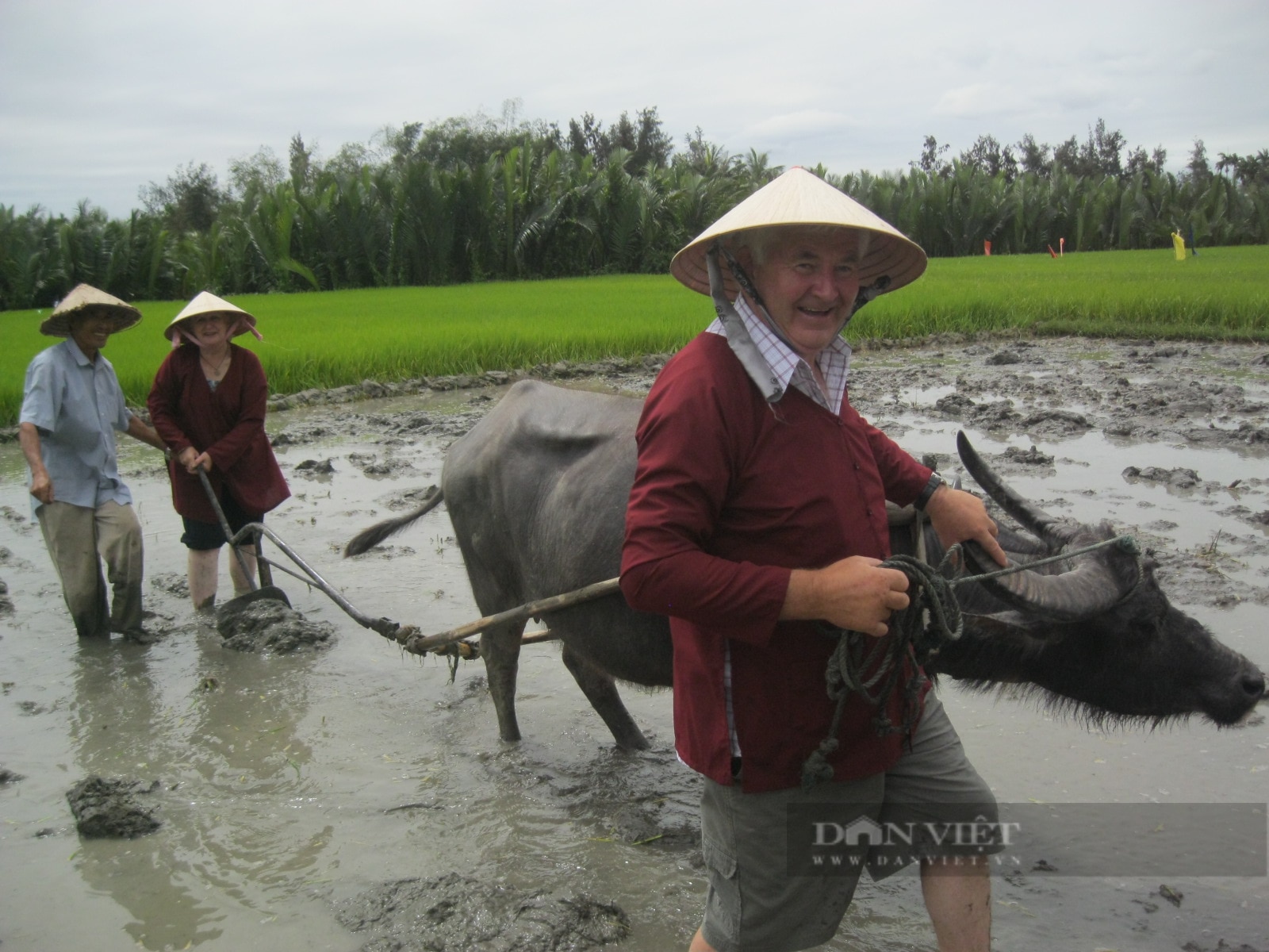 Giám đốc Sở VHTT&DL Quảng Nam: Tỉnh Quảng Nam khai thác hết tiềm năng của “viên ngọc quý” về du lịch nông thôn - Ảnh 2.