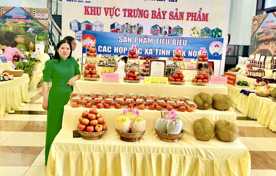 Hợp tác xã sản xuất, thu mua nông sản Hoa Sen chuyên sản xuất cà chua và dưa lưới.