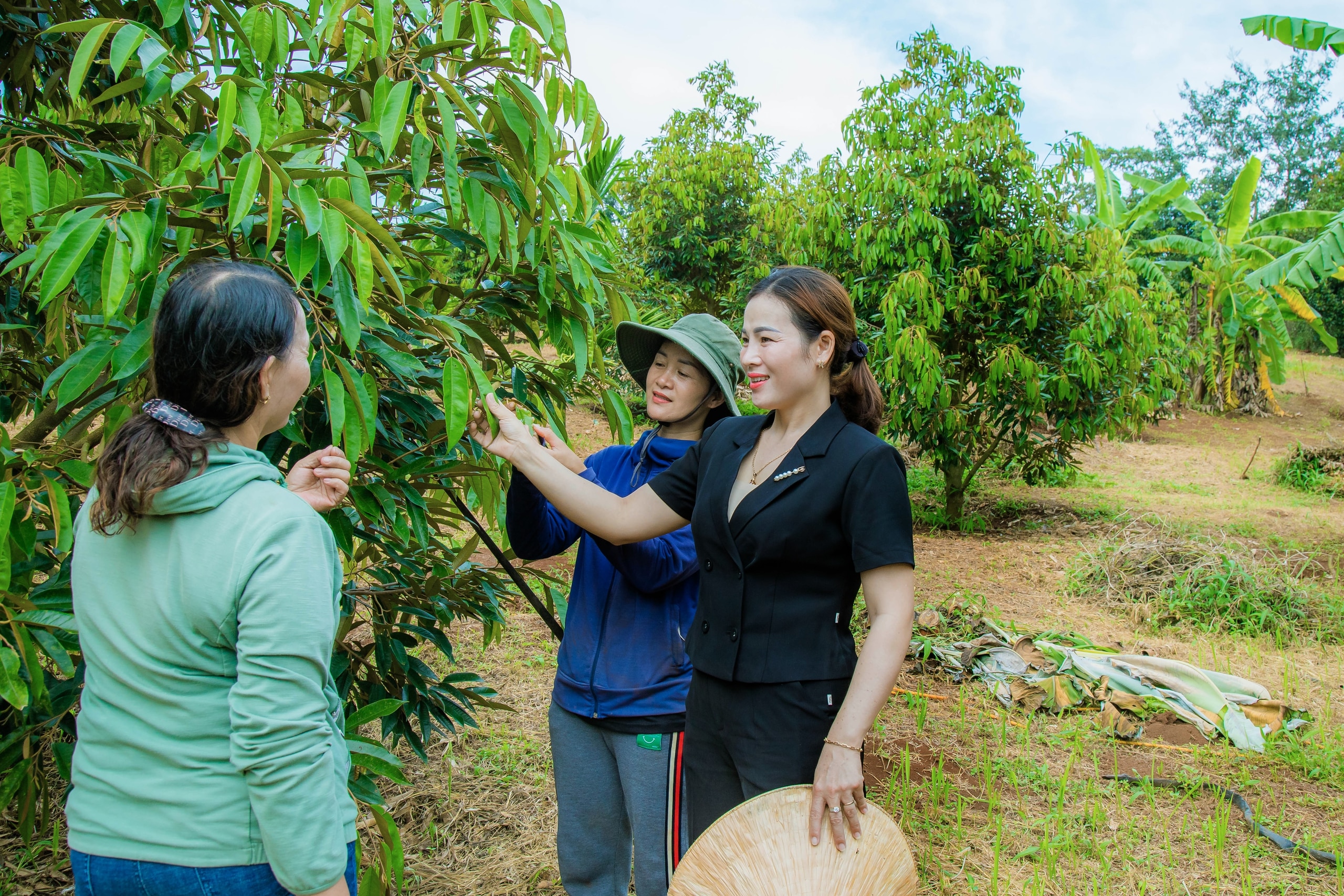 Tấm gương sáng trong phát triển nông nghiệp bền vững tại Đắk Lắk - Ảnh 4.