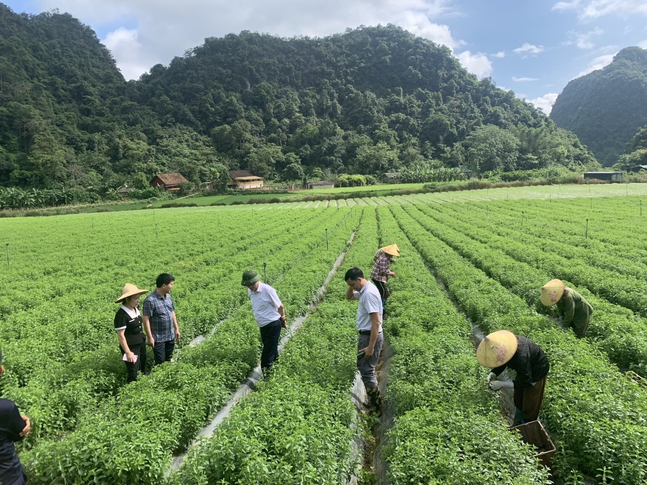 (BCĐ - Chuyên đề Ban DT Cao Bằng ) Tăng cường giám sát thực hiện Chương trình MTQG 1719 ở Cao Bằng: Đi cùng thực hiện (Bài 2) 2