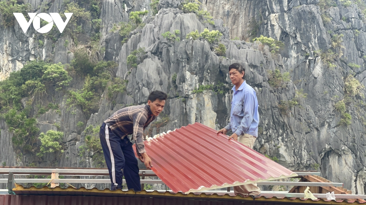 hai phong ho tro nguoi dan phuc hoi nuoi trong thuy san sau bao so 3 hinh anh 2