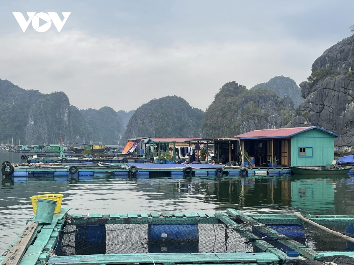 hai phong ho tro nguoi dan phuc hoi nuoi trong thuy san sau bao so 3 hinh anh 4