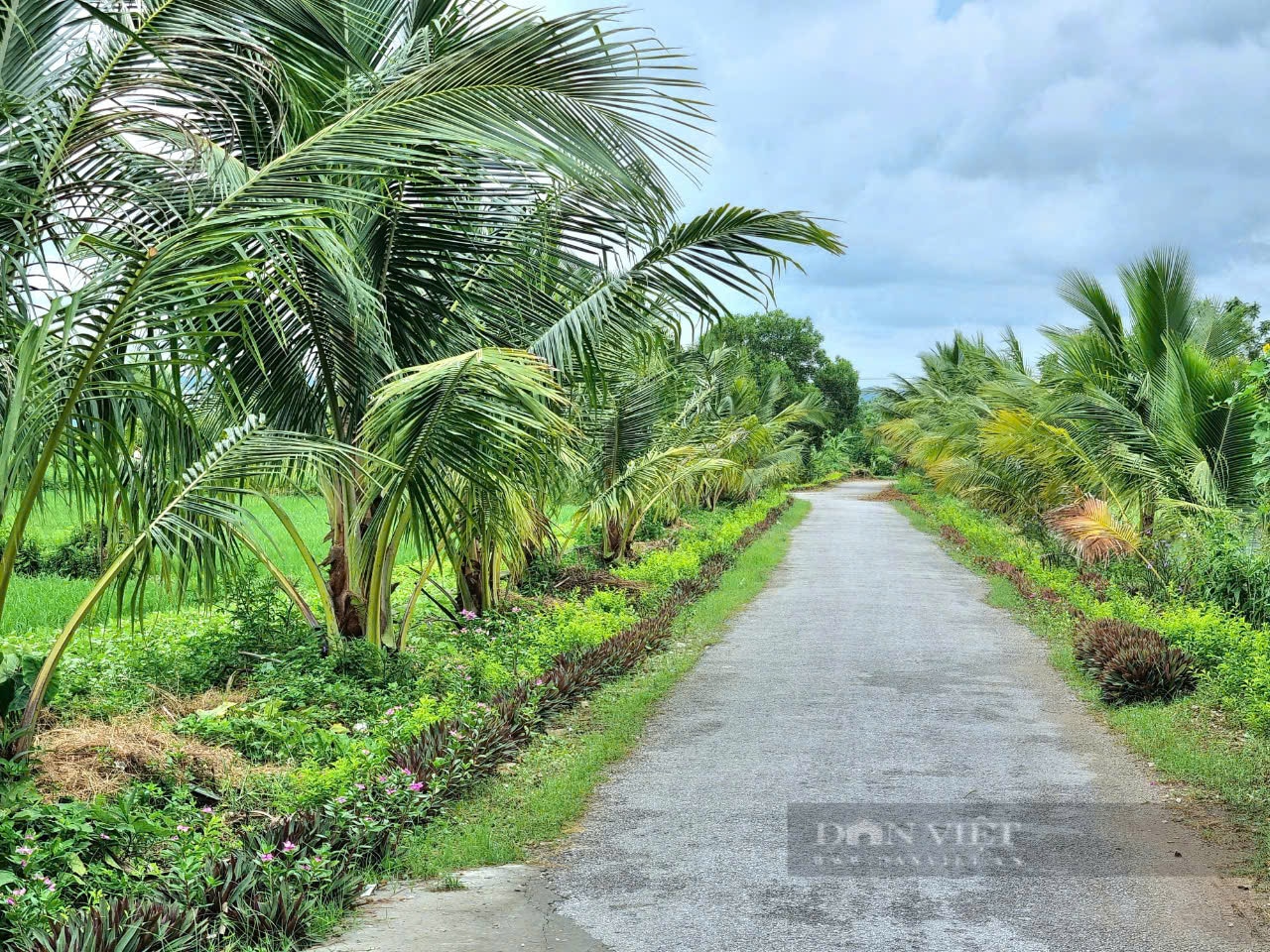 Một huyện của Thanh Hóa được Phó Thủ tướng Trần Lưu Quang ký công nhận nông thôn mới- Ảnh 2.