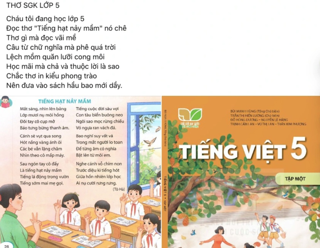 Bài thơ Tiếng hạt nảy mầm bị chê thậm tệ, nhà văn khóc nghẹn - 2