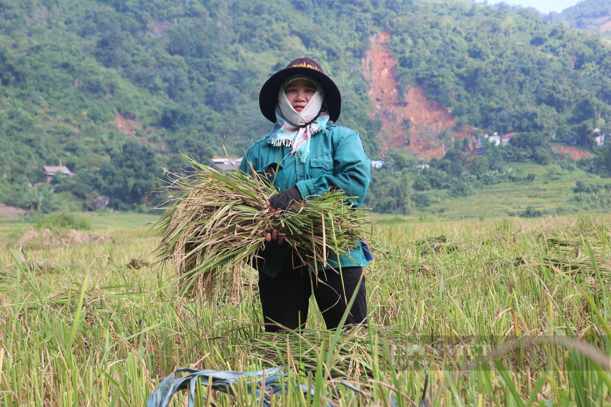 Dẻo, thơm gạo Séng Cù Mường Vi (Lào Cai) - Ảnh 3.