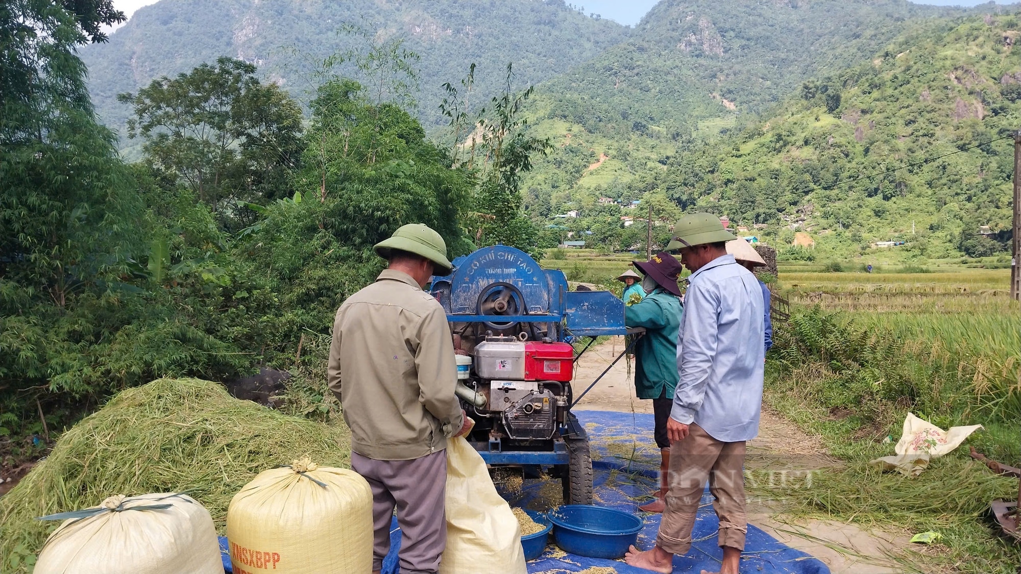 Dẻo, thơm gạo Séng Cù Mường Vi (Lào Cai) - Ảnh 4.