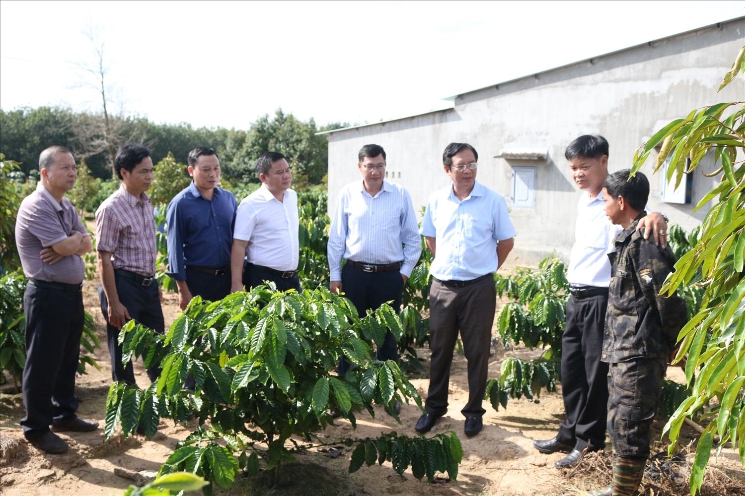 Lãnh đạo huyện Sa Thầy thăm mô hình cải tạo vườn tạp của hộ ông A Lưới ở làng Chứ, xã Ya Ly