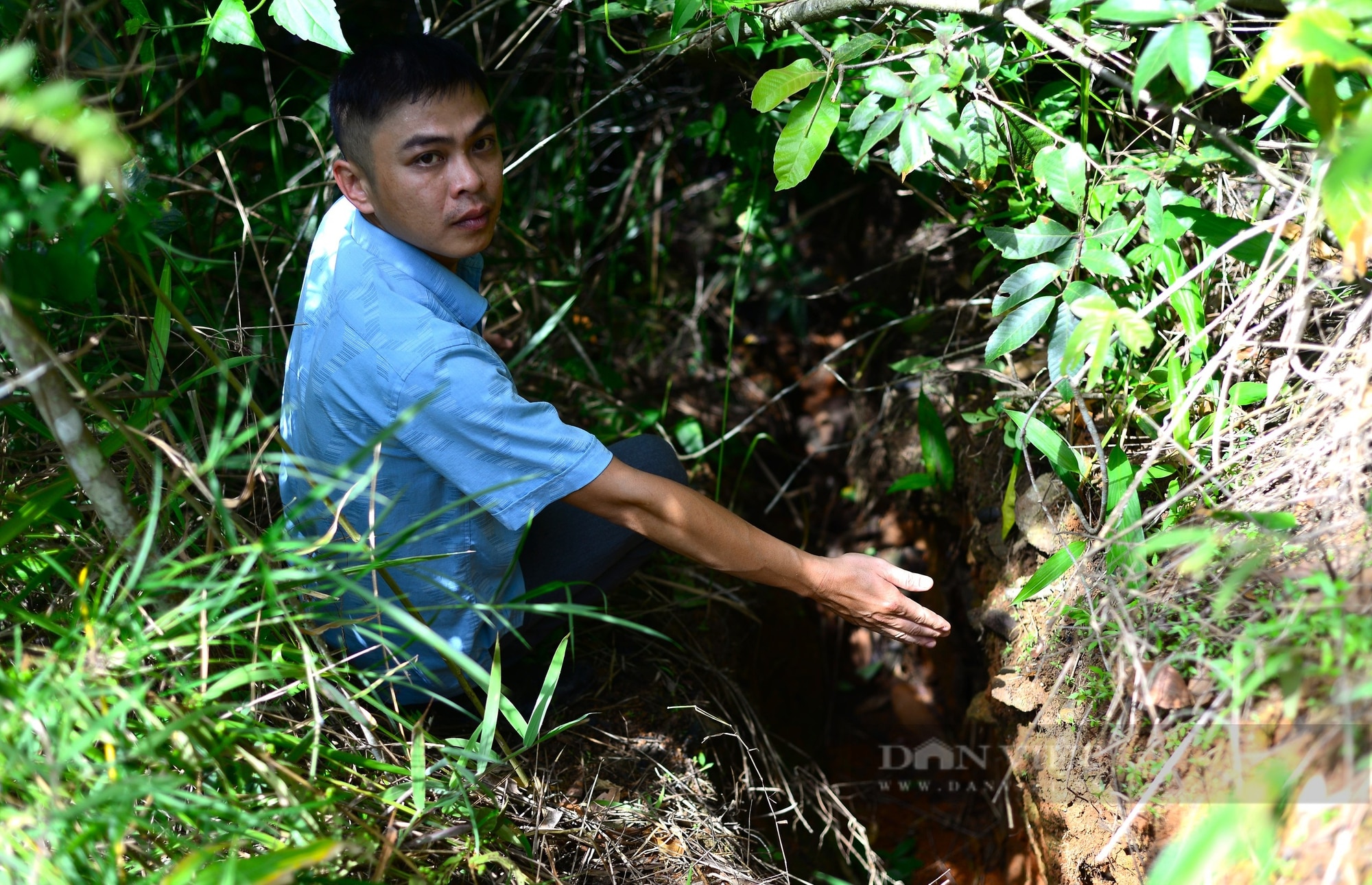 Vết nứt 