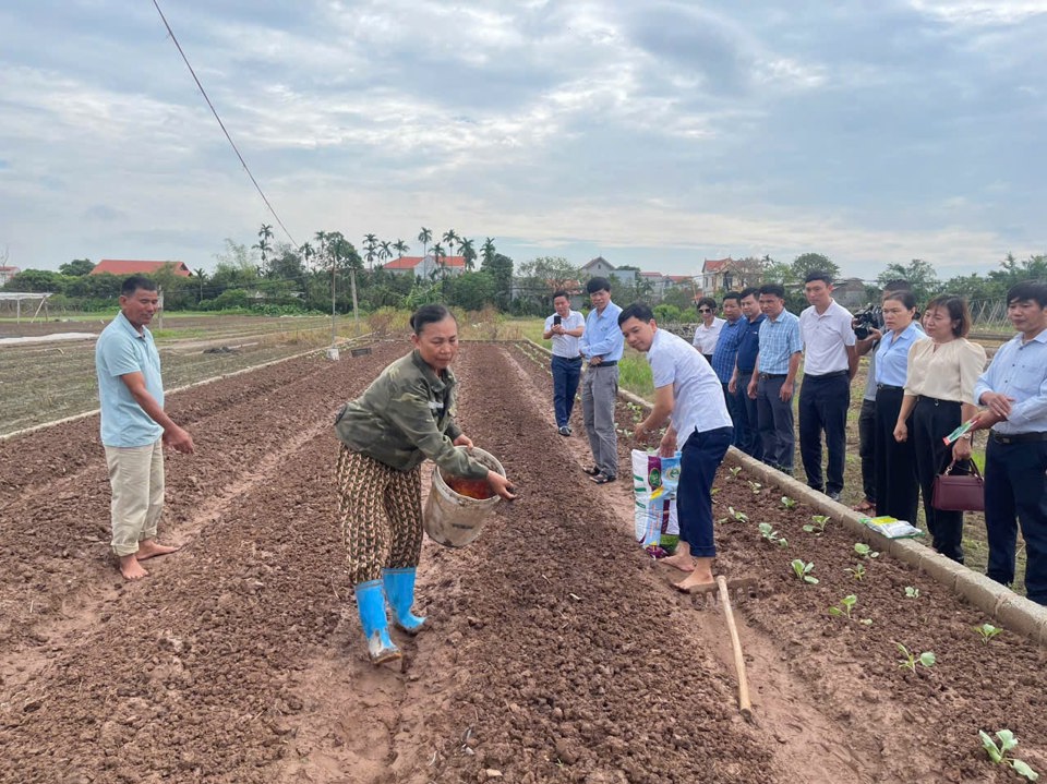 Cán bộ khuyến nông hướng dẫn nông dân xã Thư Phú, huyện Thường Tín sử dụng phân bón của doanh nghiệp hỗ trợ ngay tại đồng ruộng. Ảnh: Thu Phượng