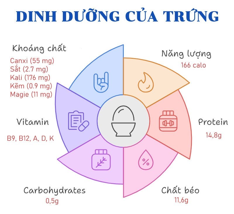 info-vnn-trung-ga-6746.jpg