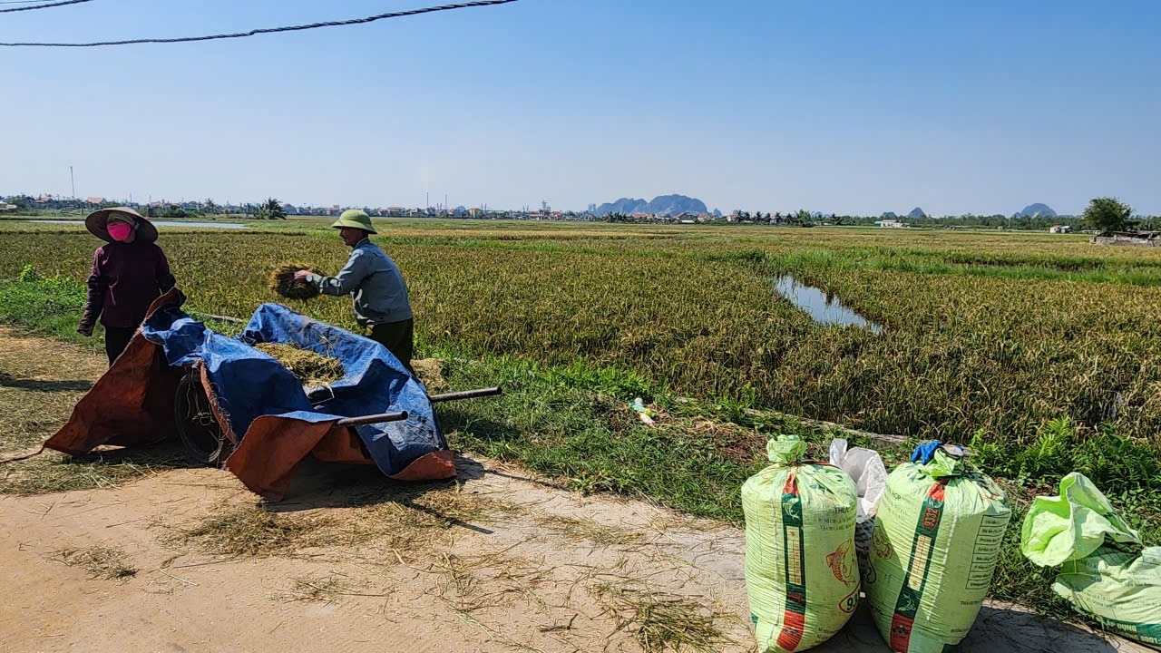 Người dân địa phương đã dần ổn định cuộc sống sau cơn bão số 3