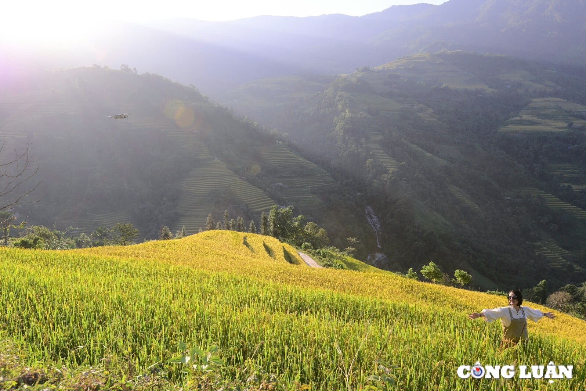 me dam thu vang tren nhung thua ruong bac thang o xa phin tinh ha giang hinh 4