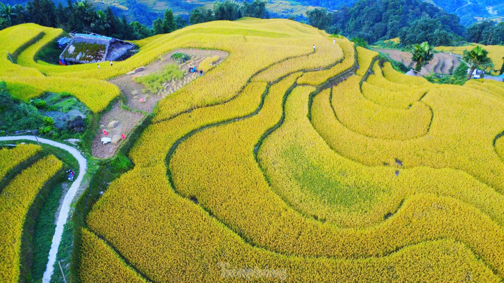 Mê mẩn khung cảnh tuyệt đẹp ở chân núi Tây Côn Lĩnh ảnh 5