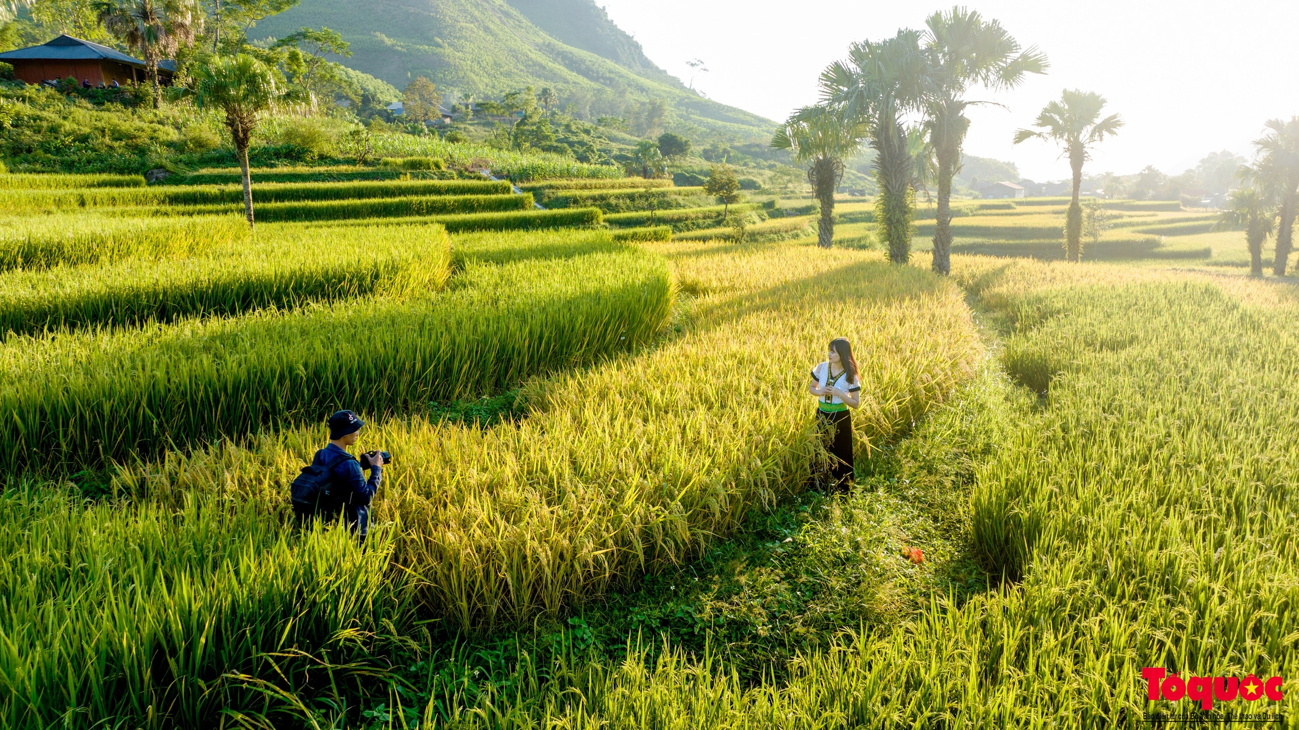 Về thủ đô gió ngàn ngắm mùa lúa chín ở bản Tèn - Ảnh 4.