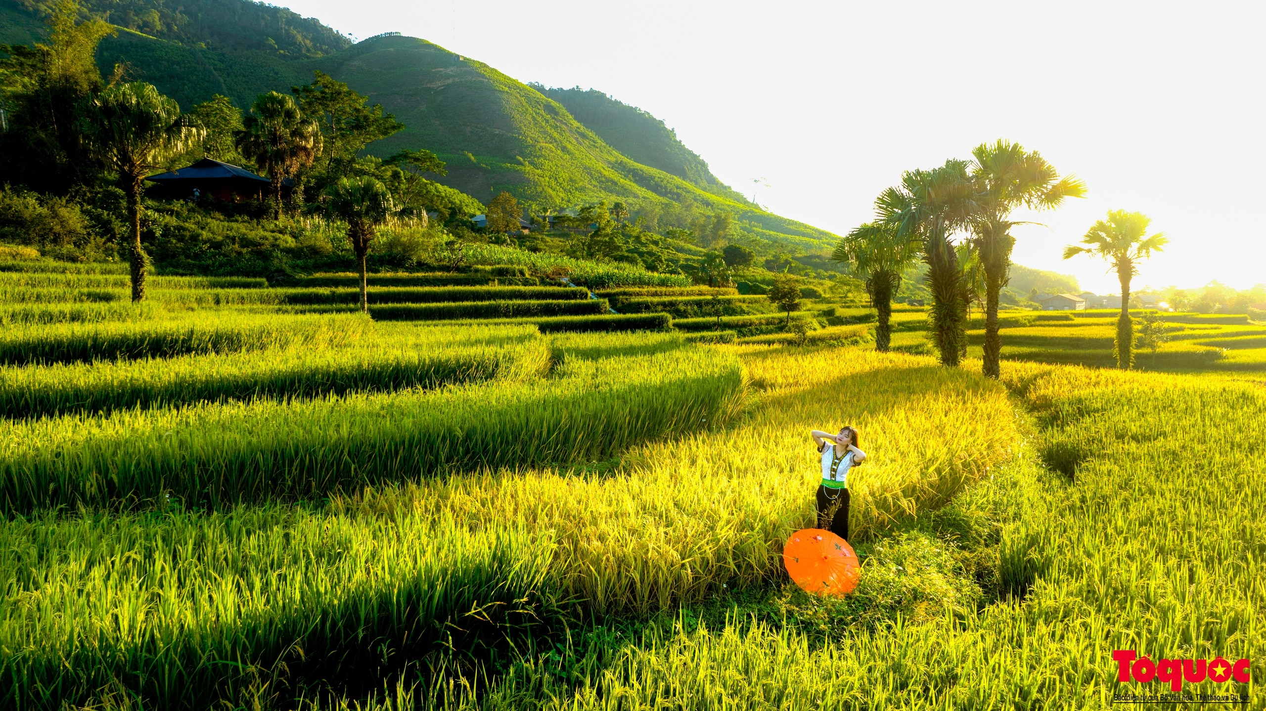 Về thủ đô gió ngàn ngắm mùa lúa chín ở bản Tèn - Ảnh 11.