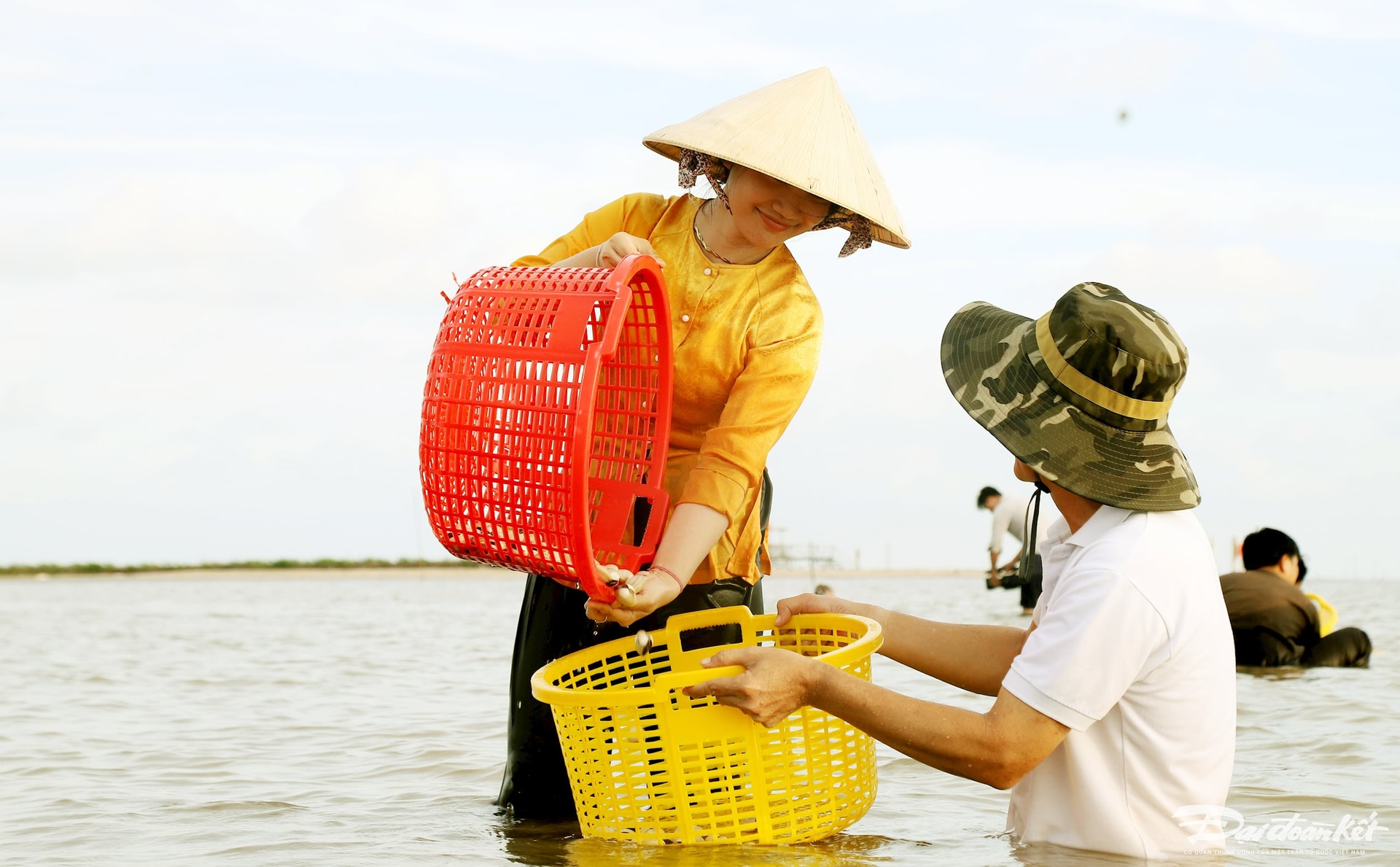 Đi ca nô xuyên rừng đước, bắt nghêu, ngắm hoàng hôn ở đất Mũi - Vietnam.vn