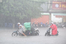 887c071d 56be 42f5 a9d8 7132a79f95fe.jpg