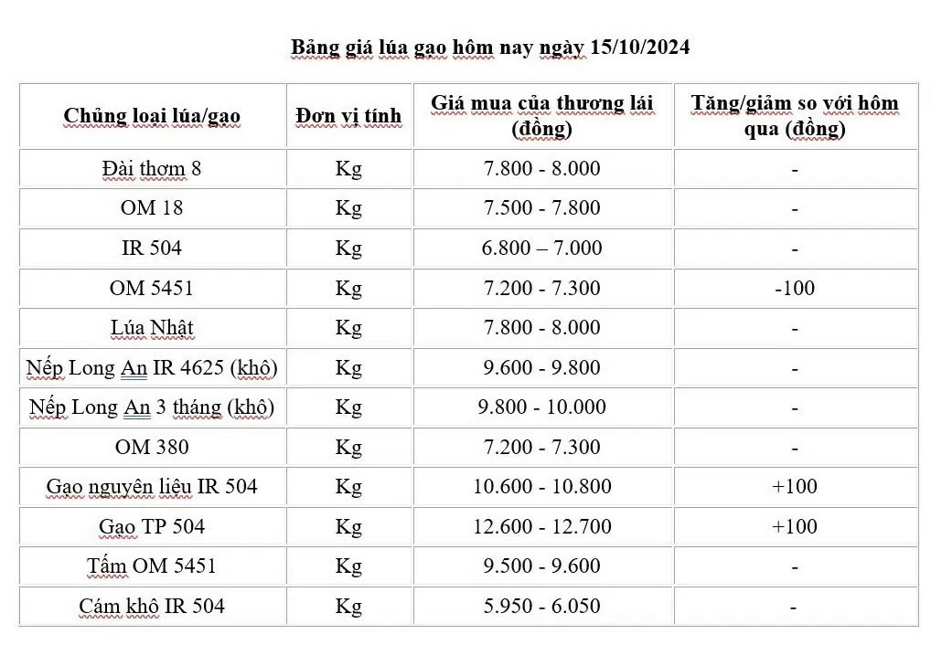 Giá lúa gạo hôm nay 15/10/2024: Thị trường gạo tăng đáng kể, giá gạo xuất khẩu giảm nhẹ