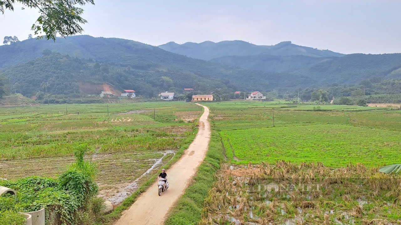 Xã Tân Hợp phát huy nội lực, nâng cao tiêu chí, tạo đà vững chắc để về đích nông thôn mới kiểu mẫu  - Ảnh 6.