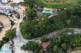 groene boom da lat 1 10978.jpg