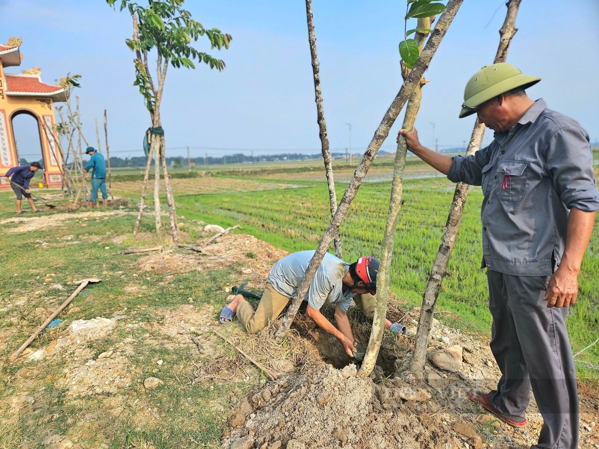 Quảng Bình: Đường cây xanh ở nơi này khiến nông thôn mới đẹp như phim - Ảnh 6.