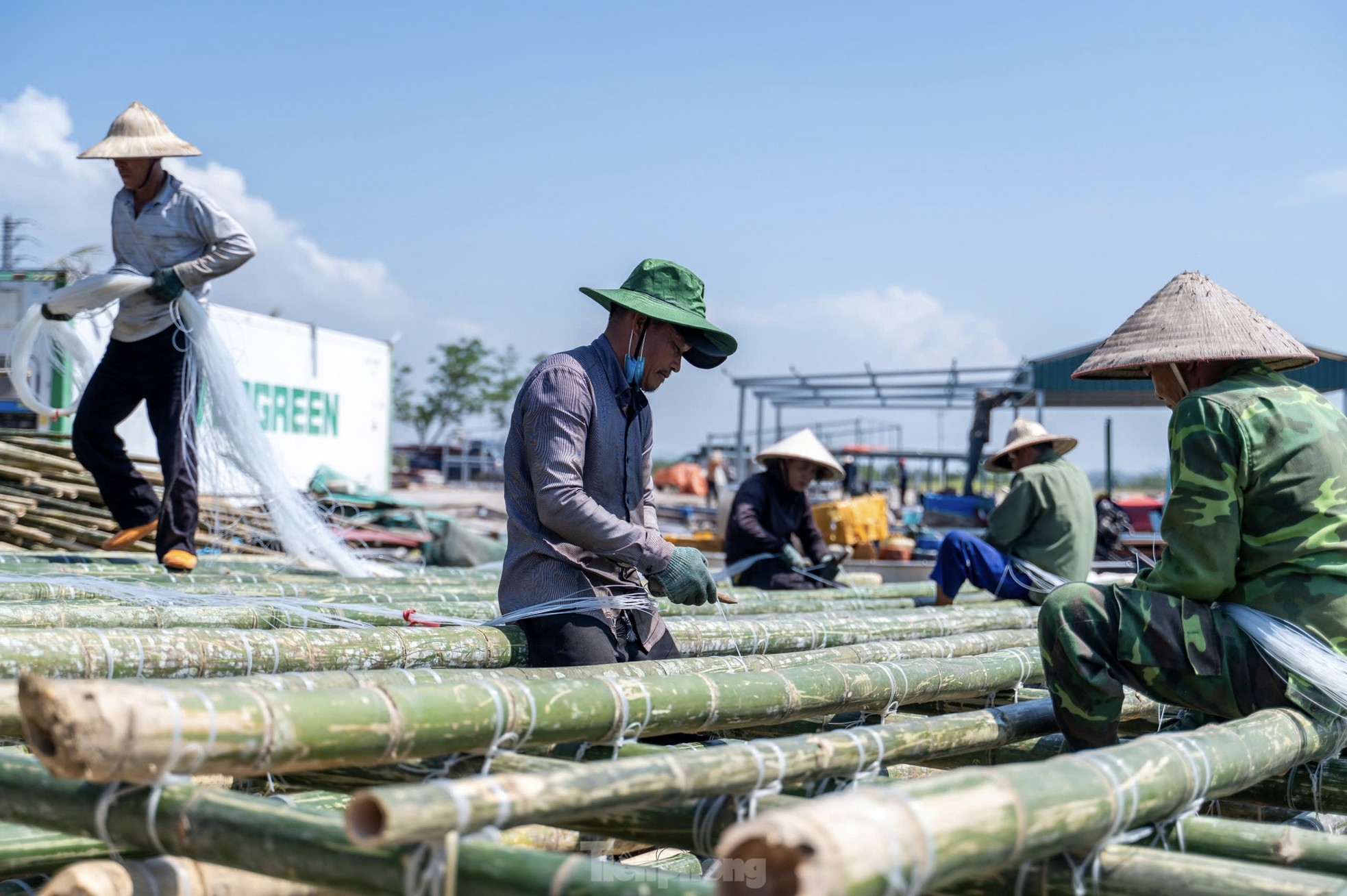 Ngư dân Quảng Yên hối hả đóng bè mới trở lại nuôi trồng thủy sản sau bão ảnh 9