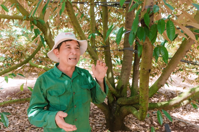 Ông Nguyễn Văn Sứ, chủ vườn sầu riêng chia sẻ kinh nghiệm cho các nông hộ tham quan vườn sầu riêng mô hình trình diễn dự án Better Life Farming. Ảnh: Hồng Thủy.