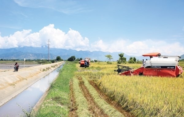 Ninh Thuận đã và đang đẩy mạnh triển khai Chương trình MTQG 1719 (Ảnh minh họa).