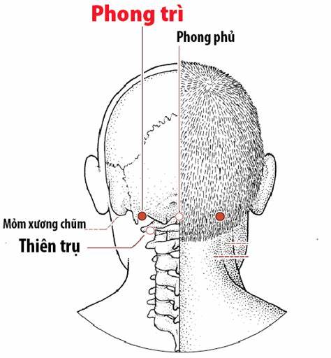  Giảm đau cổ vai gáy bằng các phương pháp đơn giản tại nhà - Ảnh 5.