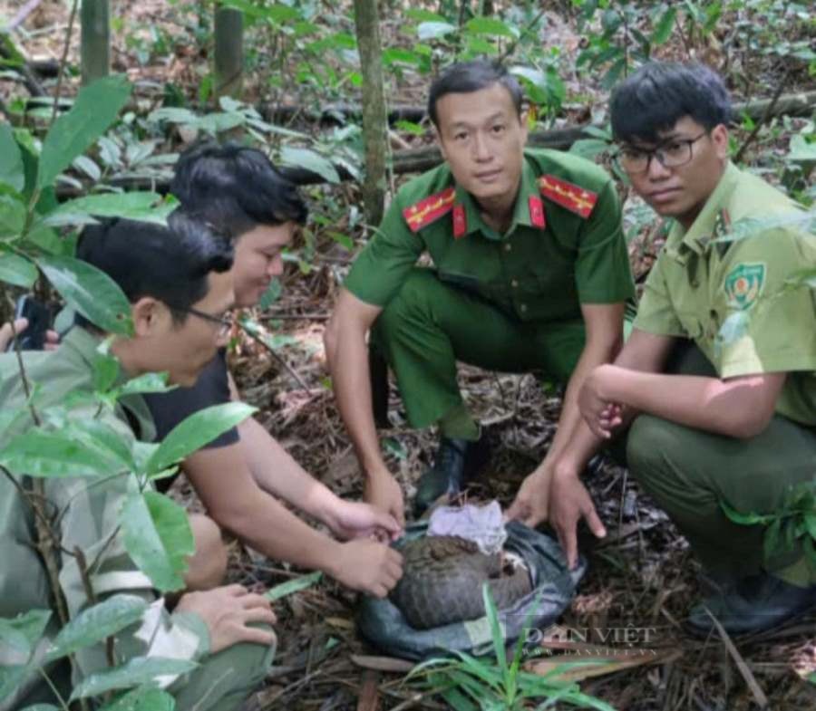 Bình Phước thả nhiều động vật hoang dã quý hiếm về Vườn quốc gia Bù Gia Mập - Ảnh 2.