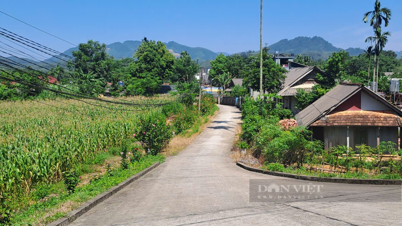 Huyện Văn Chấn khơi dậy tiềm năng, thế mạnh của địa phương trong xây dựng nông thôn mới - Ảnh 7.