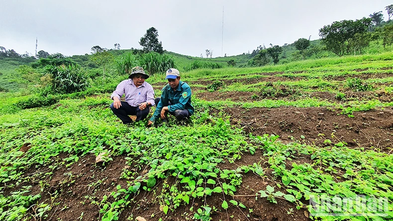 Đồng bào dân tộc thiểu số tỉnh Kon Tum đổi thay từ một Cuộc vận động ảnh 4