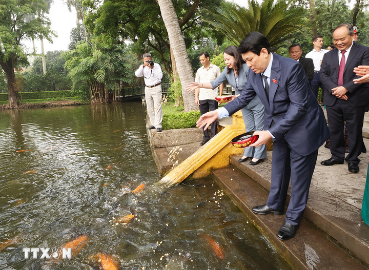 Chủ Tịch Nước Lương Cường Dâng Hương Tưởng Niệm Chủ Tịch Hồ Chí Minh ...