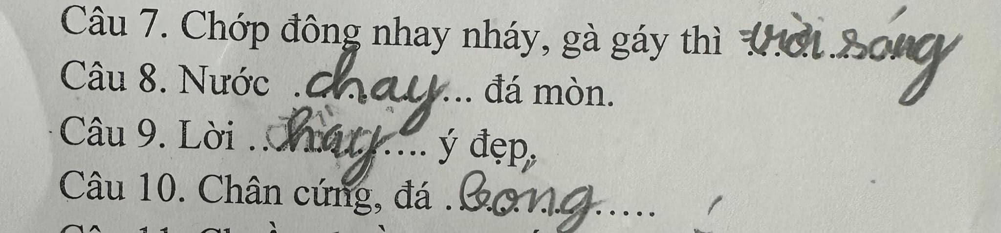 “Cười đau bụng” bài tập Tiếng Việt của học sinh tiểu học: 