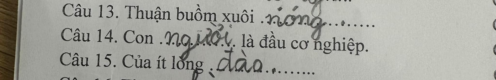 “Cười đau bụng” bài tập Tiếng Việt của học sinh tiểu học: 