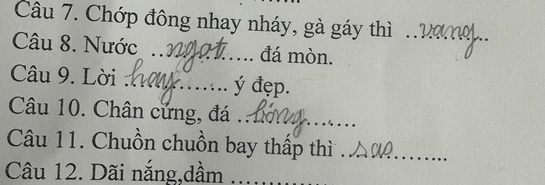 “Cười đau bụng” bài tập Tiếng Việt của học sinh tiểu học: 