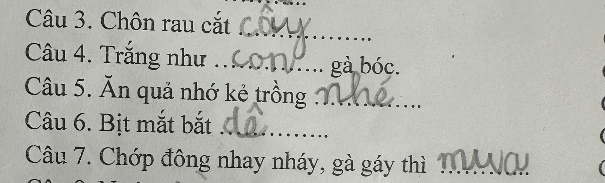 “Cười đau bụng” bài tập Tiếng Việt của học sinh tiểu học: 