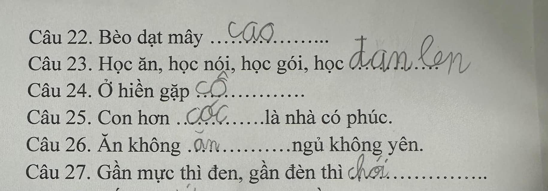 “Cười đau bụng” bài tập Tiếng Việt của học sinh tiểu học: 