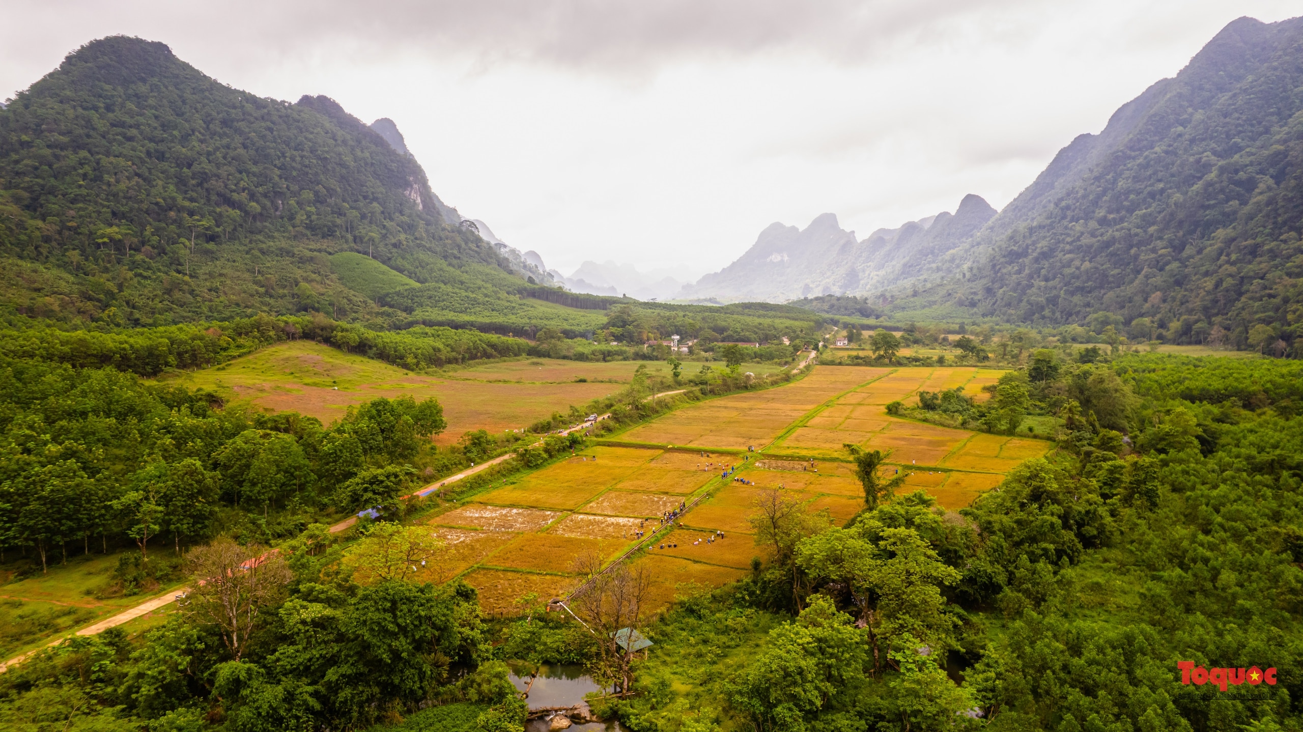 Lễ cúng Giang Sơn - Nghi lễ ấn tượng của người Rục - Ảnh 14.