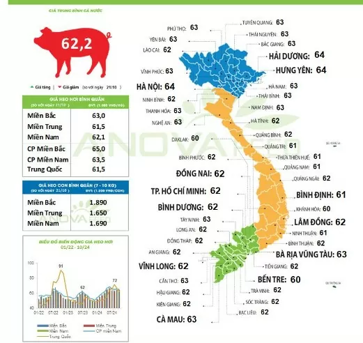 Giá heo hơi hôm nay 23/10/2024: