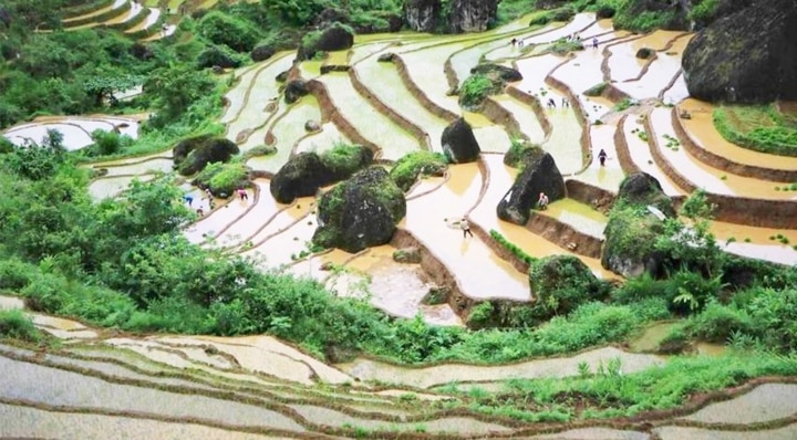 Ruộng bậc thang Khun Há - Lai Châu vào mùa nước đổ.