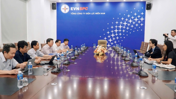 EVNSPC và Energy Pool trao đổi về khả năng hợp tác trong tương lai.