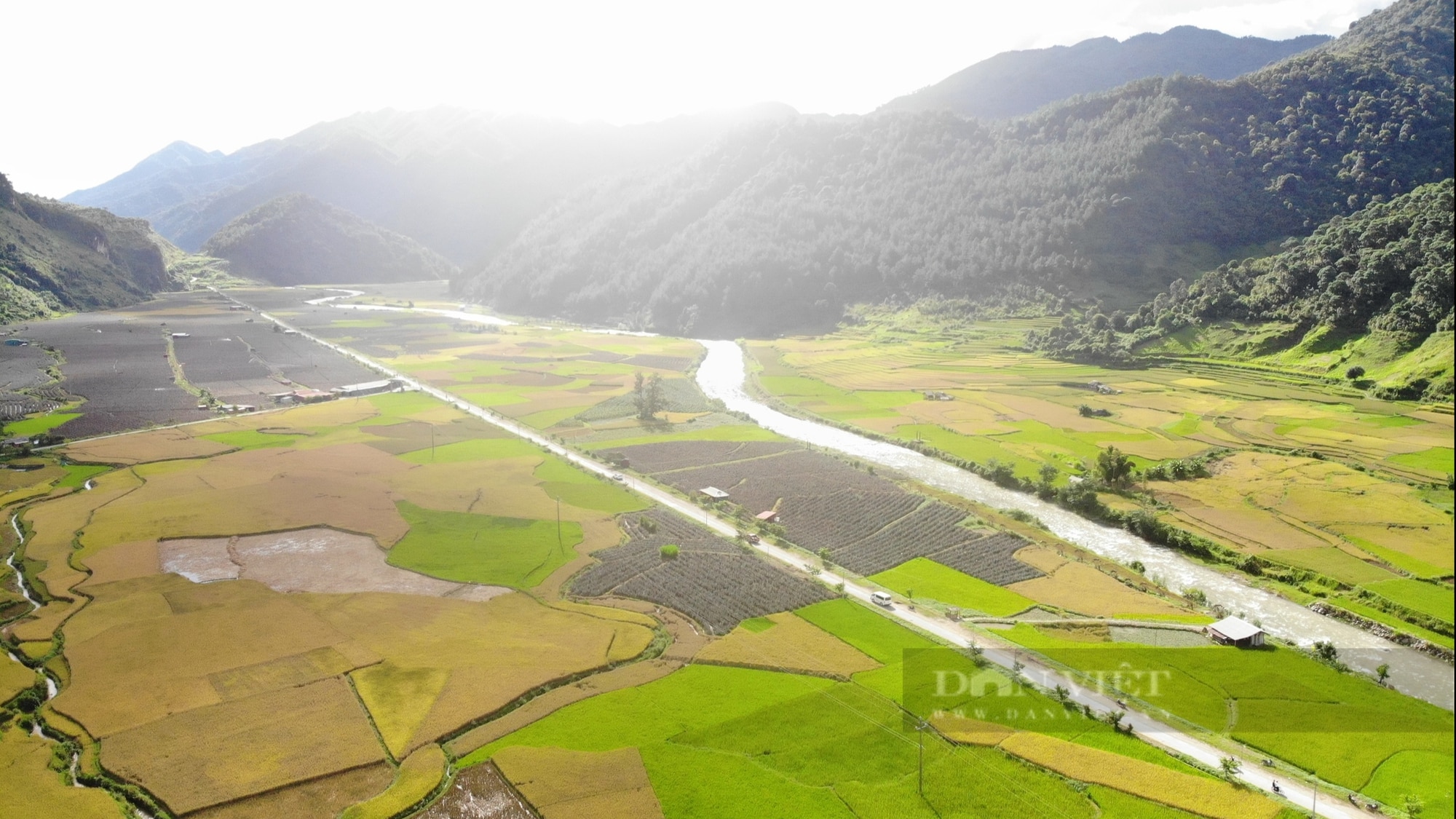 Nông dân tíu tít thu hoạch, gánh lúa, hứa hẹn một mùa vàng bội thu trên rẻo cao Sơn La- Ảnh 4.