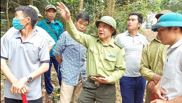 Điện Biên: Tăng cường công tác phòng, chống cháy rừng