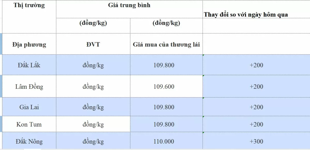 Giá cà phê hôm nay 25/10/2024: