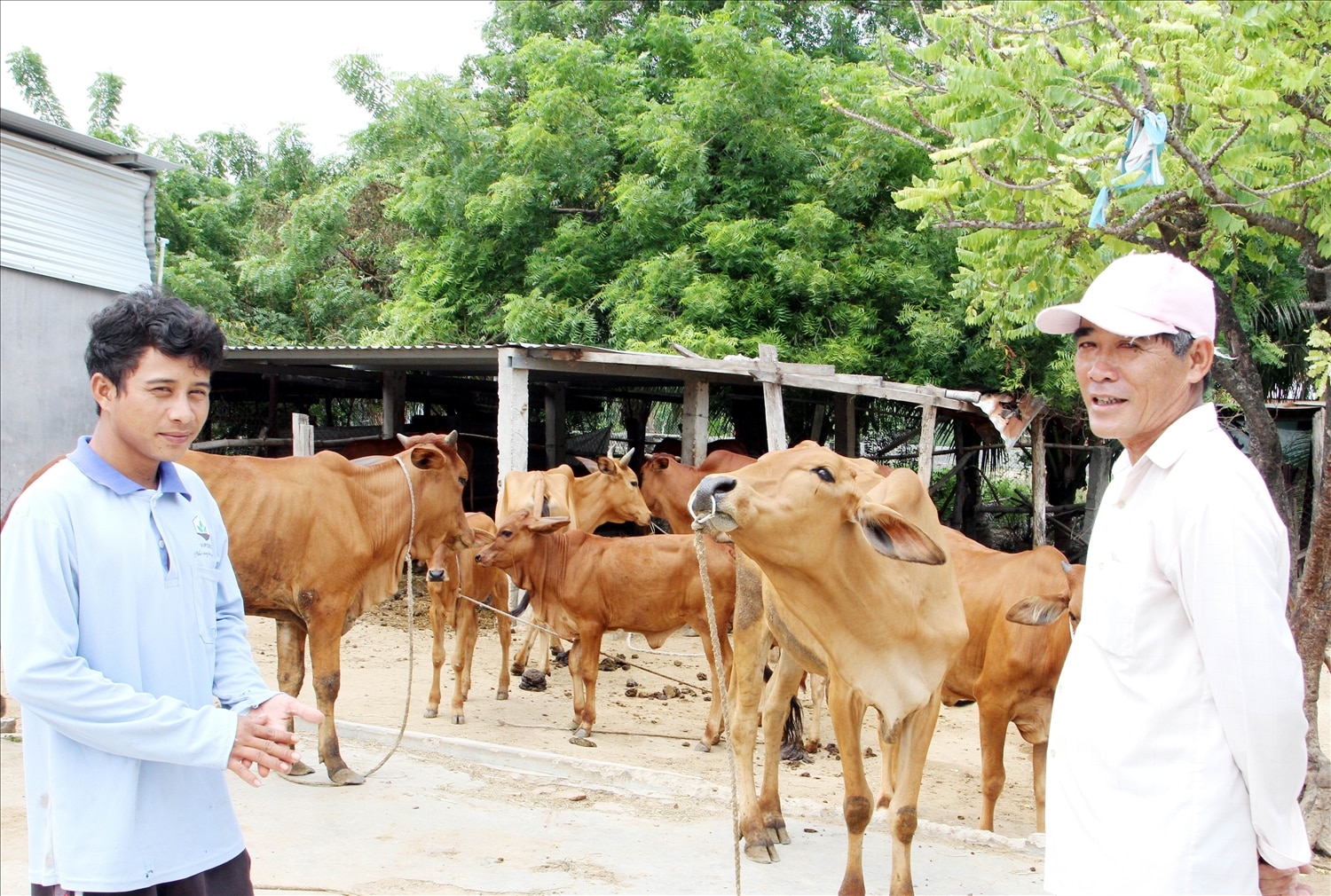 Ông Trần Mẹo, Trưởng thôn Núi Ngỗng thăm hỏi, động viên bà con thôn xóm chăn nuôi gia súc vươn lên thoát nghèo. 