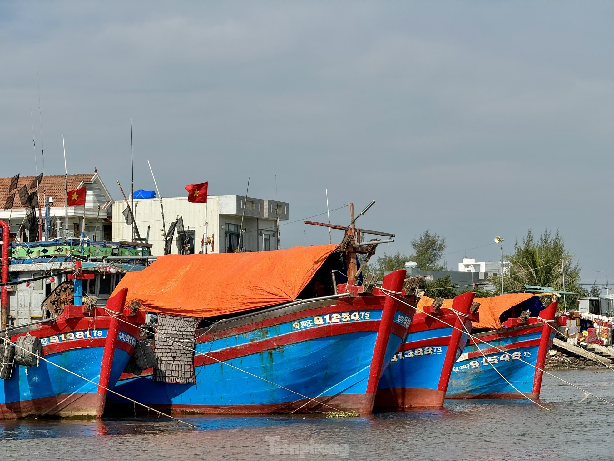 Ngư dân Quảng Ngãi bỏ dở phiên biển, hối hả về bờ bán cá chạy bão ảnh 15