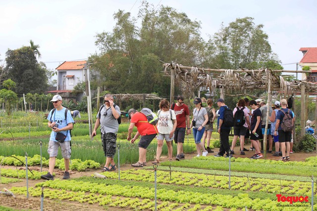 Phát triển du lịch gắn với bảo tồn đa dạng sinh học  - Ảnh 3.