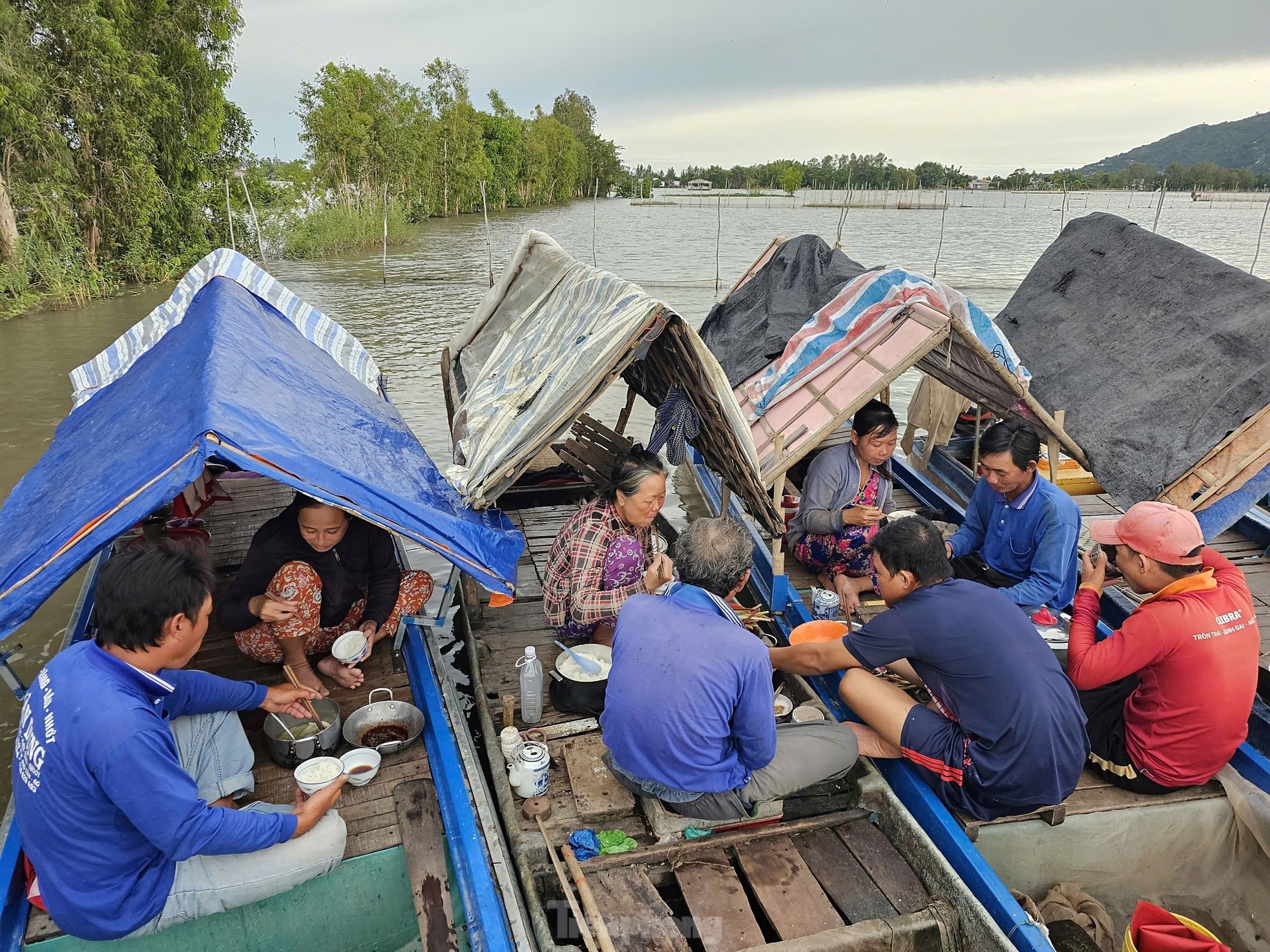 Mưu sinh mùa nước nổi: 'Kiếm được đồng tiền rơi nước mắt' ảnh 15