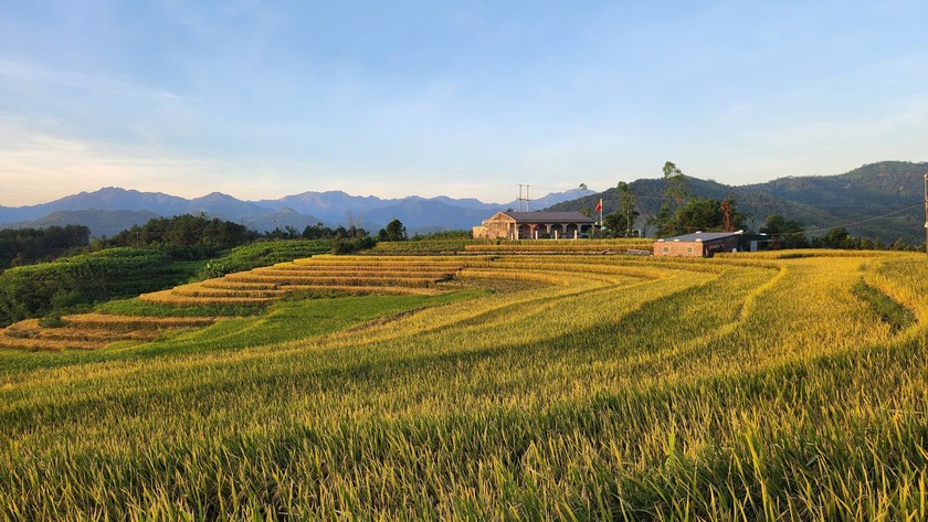 Những thửa ruộng bậc thang ở Bình Liêu